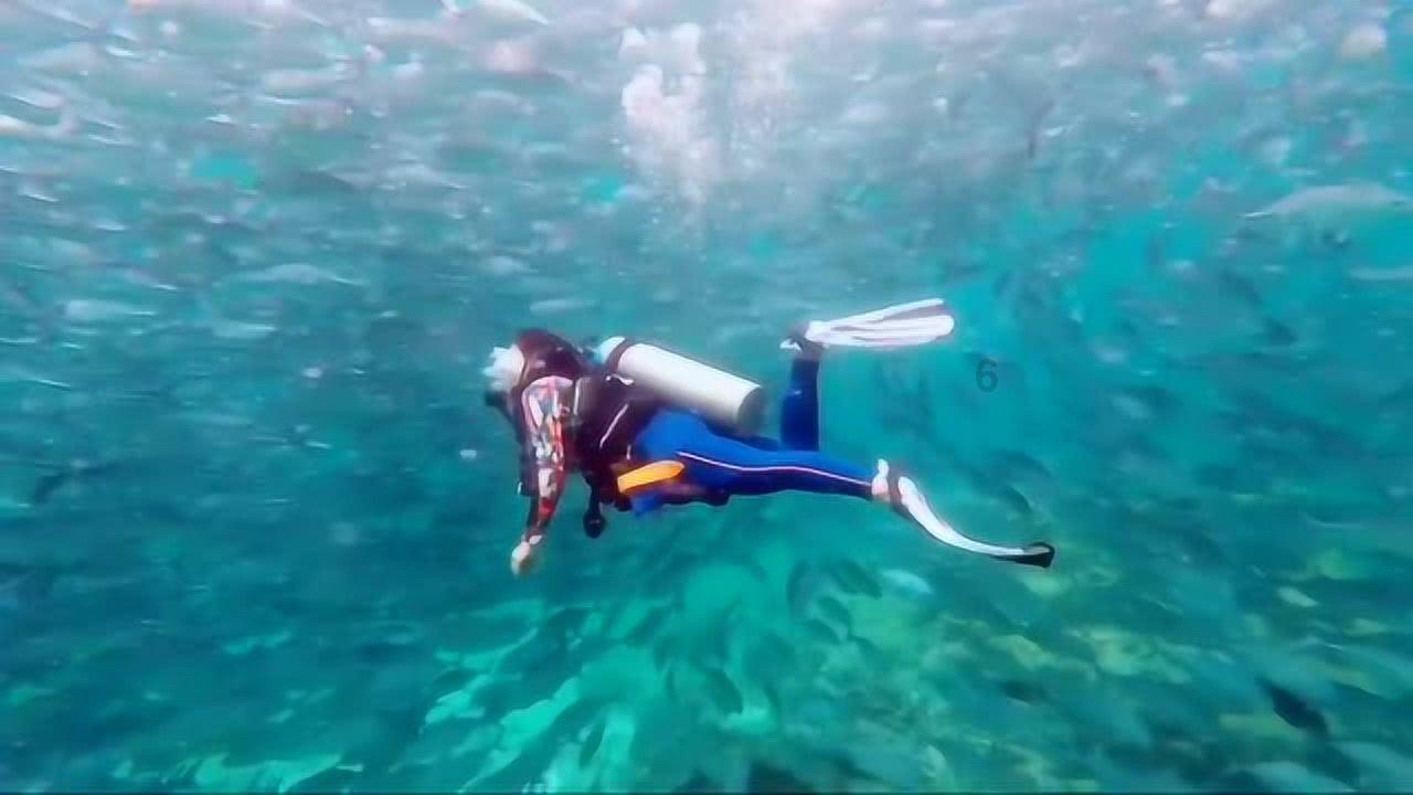 中电港：传感器产品主要应用在新能源汽车充电桩电流检测领域